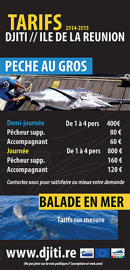 Flyer à l'île de la Réunion flyer design pro à La Réunion